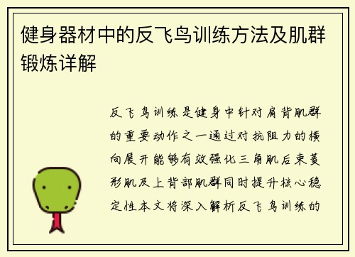 健身器材中的反飞鸟训练方法及肌群锻炼详解